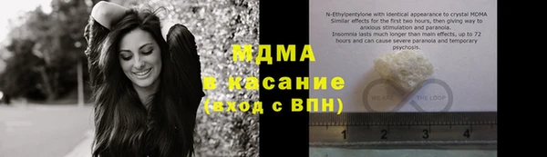 дживик Пересвет