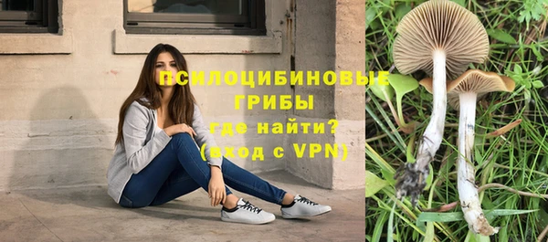 скорость Алзамай